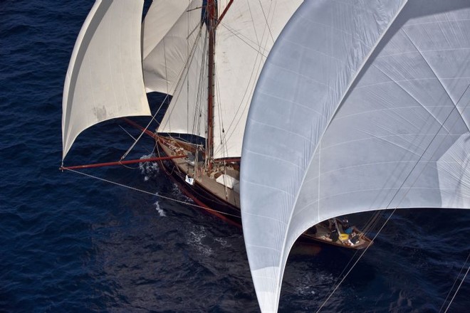 MARIGOLD from the shipyard Camper & Nicholson - Les Voiles de Saint-Tropez ©  Rolex/ Kurt Arrigo http://www.regattanews.com